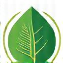 Green leaf icon representing sustainable fishing